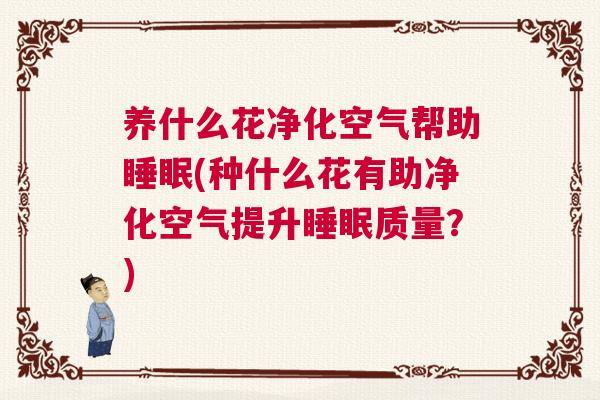 养什么花净化空气帮助睡眠(种什么花有助净化空气提升睡眠质量?) 养什么花净化空气帮助睡眠(种什么花有助净化空气提升睡眠质量?)