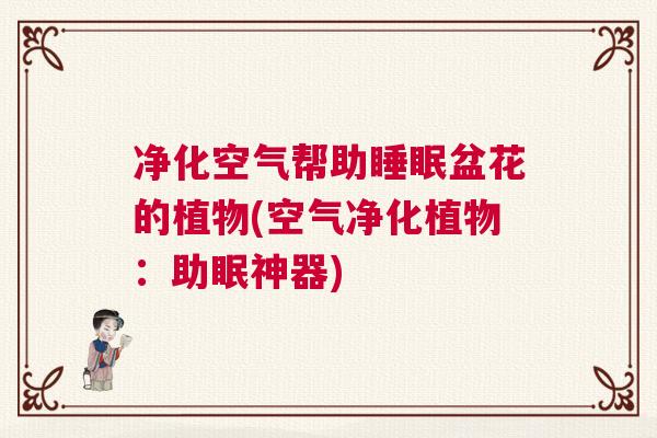 净化空气帮助睡眠盆花的植物(空气净化植物:助眠神器) 净化空气帮助睡眠盆花的植物(空气净化植物:助眠神器)