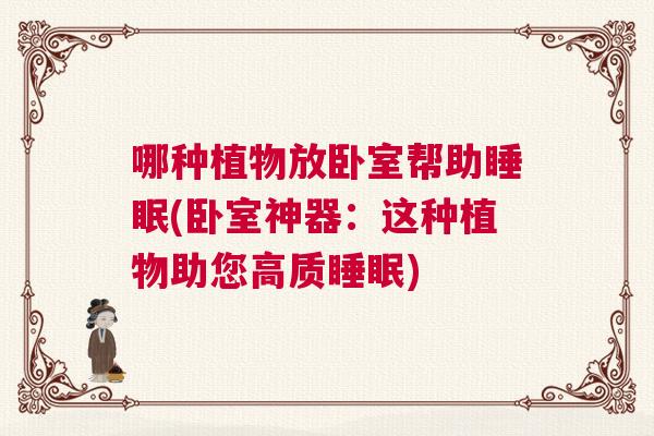 哪种植物放卧室帮助睡眠(卧室神器：这种植物助您高质睡眠)