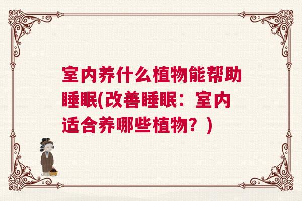 室内养什么植物能帮助睡眠(改善睡眠：室内适合养哪些植物？)