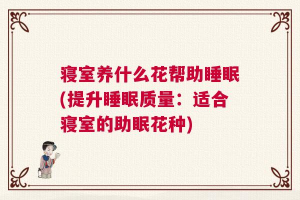 寝室养什么花帮助睡眠(提升睡眠质量：适合寝室的助眠花种)